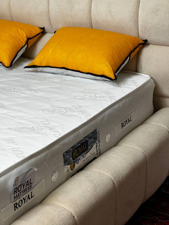 تشک طبی فنری میکروبونل